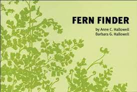 SOC 115- Fern Finder